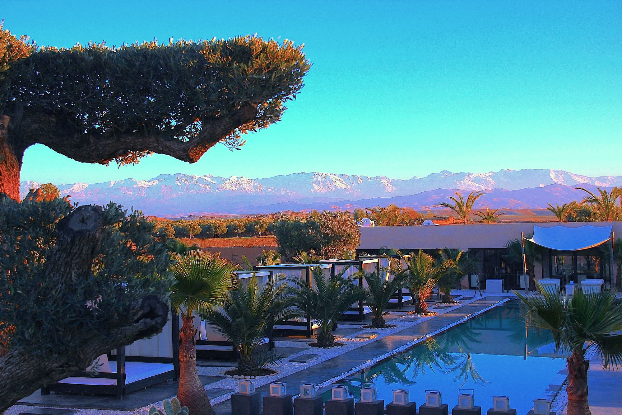 location maison luxe marrakech